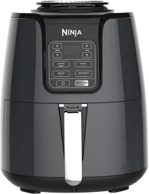 Best Buy Air Fryer - Ninja Air Fryer AF101 Programmable Base for Air Frying Review